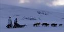 Dog team and two people standing on a doublesledge