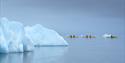 Three kayaks with guests paddling between nearby floating icebergs