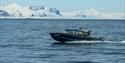© Visit Svalbard