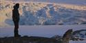 A person with a rifle on their back and a husky in the foreground, with a frozen fjord and a massive glacier in the background