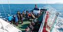 Guests on board a boat looking out across a fjord