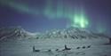 © Visit Svalbard