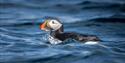 © Visit Svalbard
