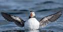 © Visit Svalbard