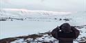 © Visit Svalbard