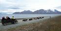 © Visit Svalbard