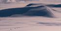 Guests on snowmobiles driving through a landscape with mountains in the background