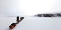 A tour group pulling sleds while skiing in a row