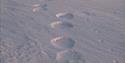 © Visit Svalbard