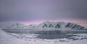 Vinterlandskap med fjorder og snødekte fjell i Svalbard under et pastellfarget himmellys.