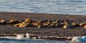 © Visit Svalbard