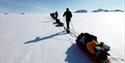 A tour group pulling sleds while skiing in a row