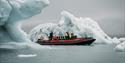 A RIB boat sailing in between icebergs