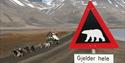 Polar bear sign in front. People in a wagon doing dog sledding on wheels in the background.