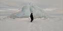 Person standing in front of glacierice