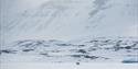 © Visit Svalbard