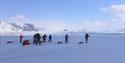 A tour group pulling sleds while skiing