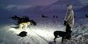 © Visit Svalbard