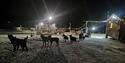 © Visit Svalbard