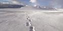 © Visit Svalbard