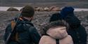 A guide with a gun and two guests observing walruses from afar