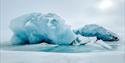 © Visit Svalbard