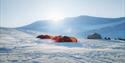 © Visit Svalbard