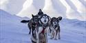 © Visit Svalbard