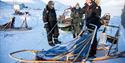 A guide showing guests how to drive a dog sled