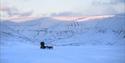 Two persons riding a dog sled