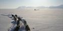 Dogs running through the snow and a dog sled in the far distance