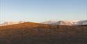 Persons hiking on top of the plateau on Sarkofagen