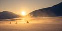 Snowmobiles crossing a plain in low winter sunlight.