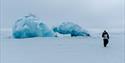 A person walking on the snow in front of large blue ice formations.