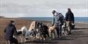 © Visit Svalbard