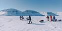 A tour group of skiers pulling sleds