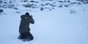 Person photographing a polar fox laying in the snow