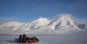 A guide and a guest looking around the landscape on a snowmobile tour