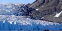 A boat with guests on board sailing in a bay with a glacier in the background