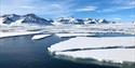 Ice floes in frozen Arctic fjord with snowcovered mountains in the background