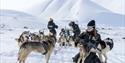 A guest cuddling with a dog in front of a sled dog team out in a snow-covered landscape. In the background a guide is standing on a sled and a guest a