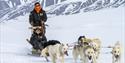 Two guests dog sledding with a team of sled dogs in front of them.