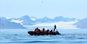 Personer som fisker fra en RIB båt på Isfjorden samtidig som de er omringet av sjøfugler
