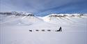 A guide and a guest on a dog sled in front of a mountainous landscape