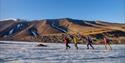 Four persons hiking on a glacier