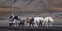 © Visit Svalbard