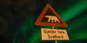 A polar bear warning sign in the foreground with northern lights in the skies in the background