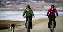 Two persons on bikes with a dog on a leash