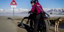 Two persons on bikes with a dog on a leash next to a road sign