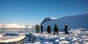 A group of people standing on ice by a fjord.